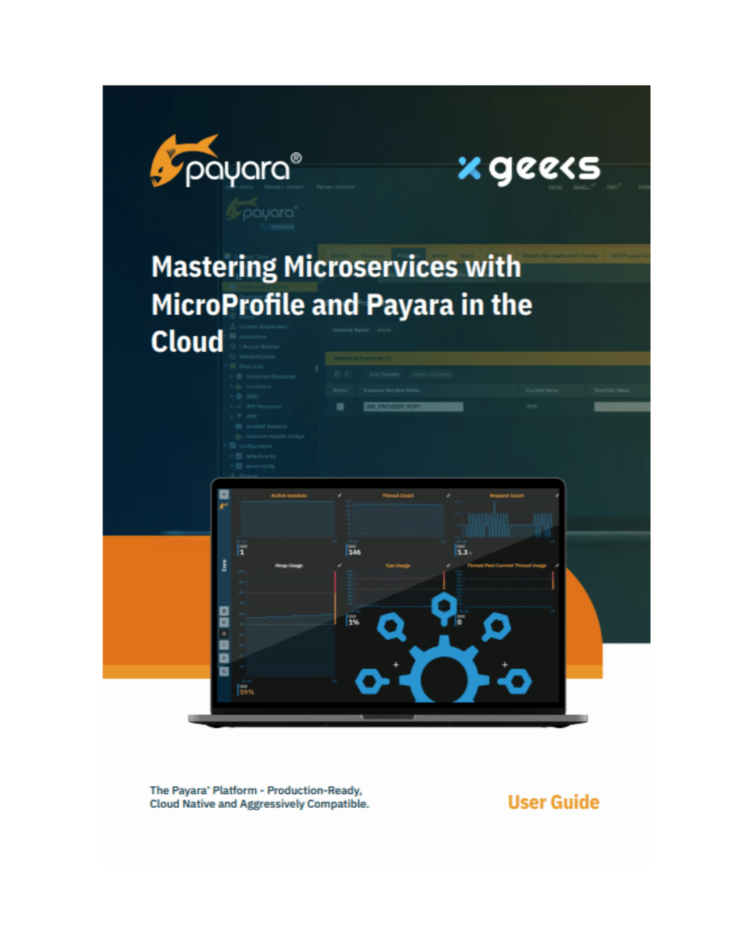 Mastering Microservices with MicroProfile and Payara in the Cloud