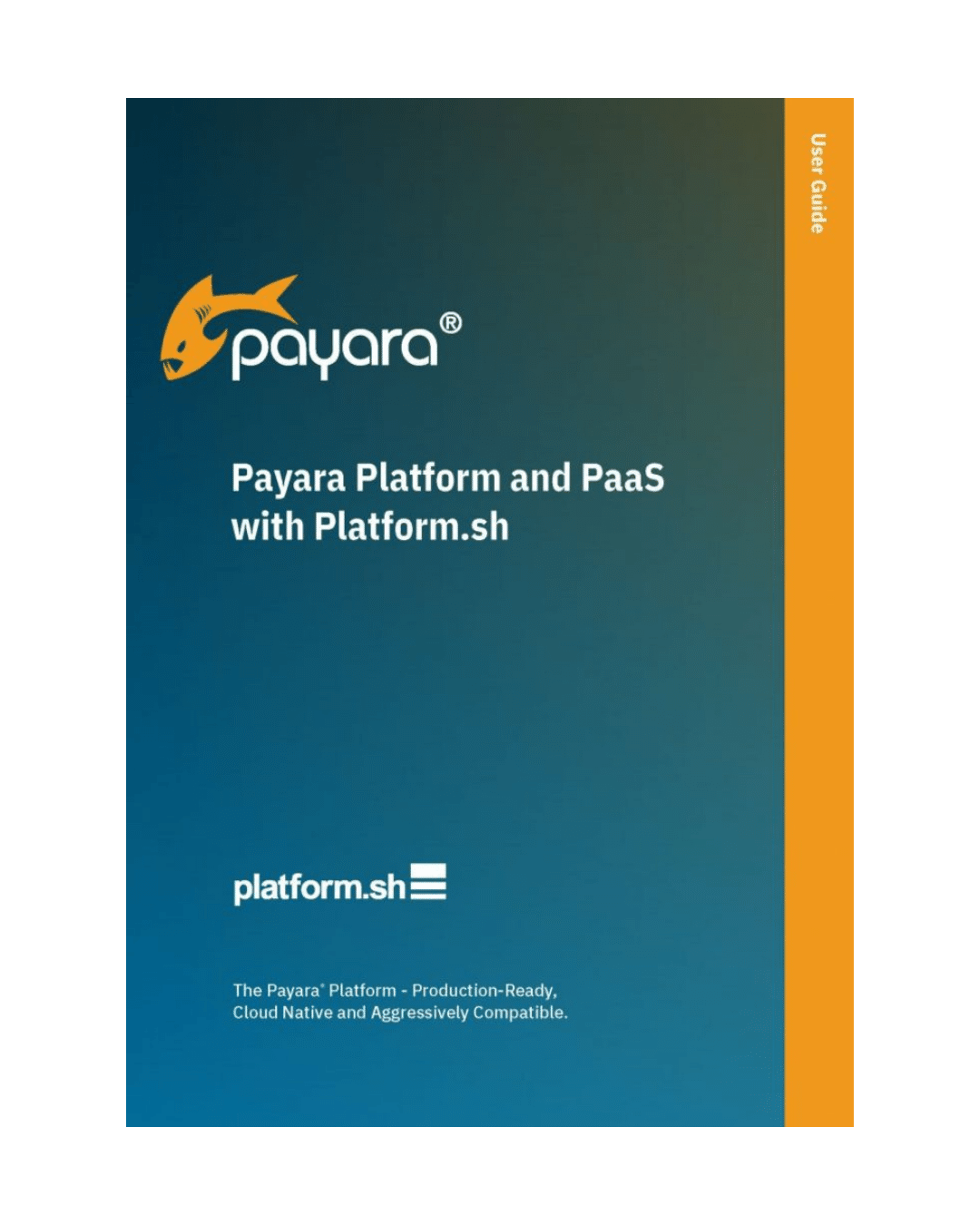 Payara Platform and PaaS with Platform.sh